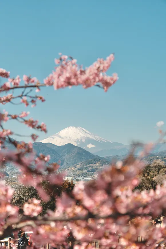 Mt. Fuji, Feb 2026