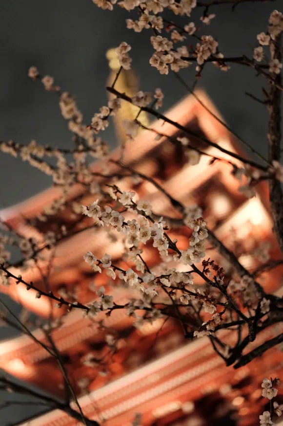 Tokyo, Feb 2026